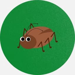 Image du badge entomologist
